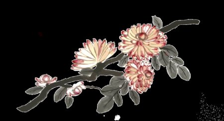 清新深粉色手绘菊花装饰元素