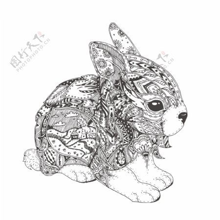 黑白可爱的小兔子插画