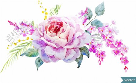 艺术水彩绘玫瑰花插画