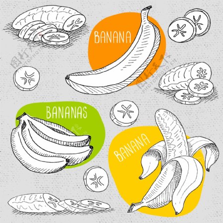 手绘美味的香蕉插画