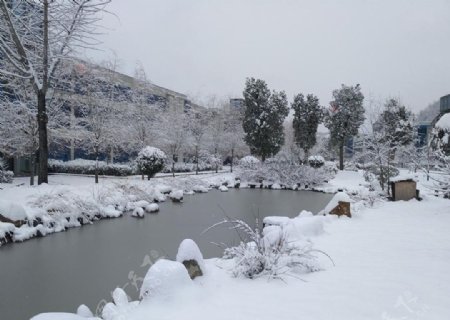 池塘雪景