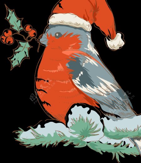 手绘圣诞小鸟元素