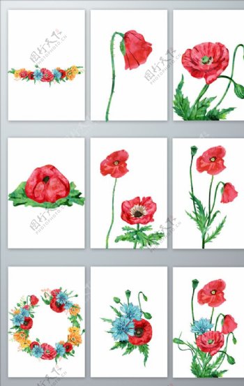 免抠红色花卉设计png素材