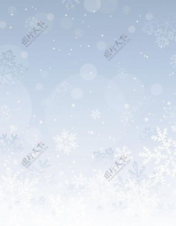 白色透明冰晶雪花图5