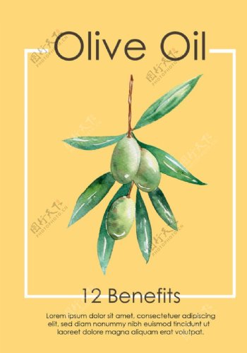 水彩橄榄油海报