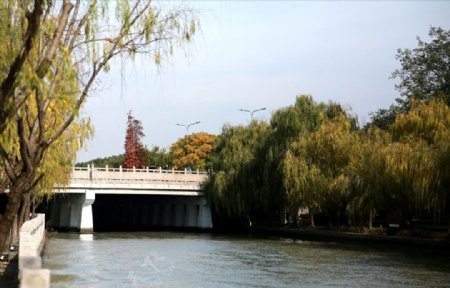 运河小桥