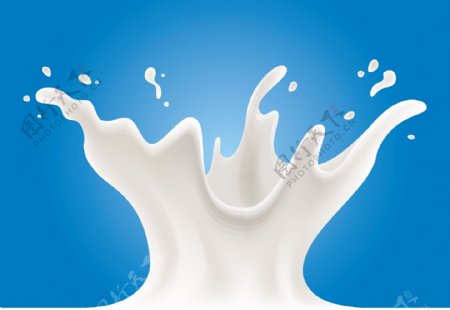 美味营养的牛奶花插画