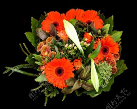明亮鲜艳橙色花朵花束实物元素