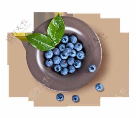 蓝莓实物图png元素