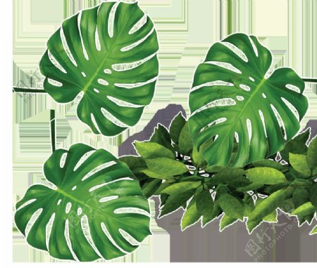 逼真绿色植物透明装饰素材