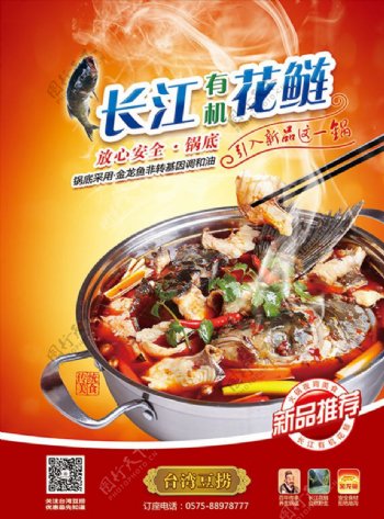 长江花鲢美食海报美食广告