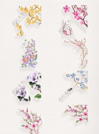 手绘精致花卉卡通透明素材合集