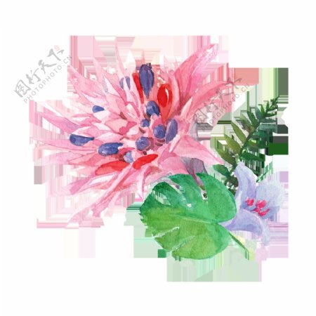 手绘高清粉色花卉PNG透明素材