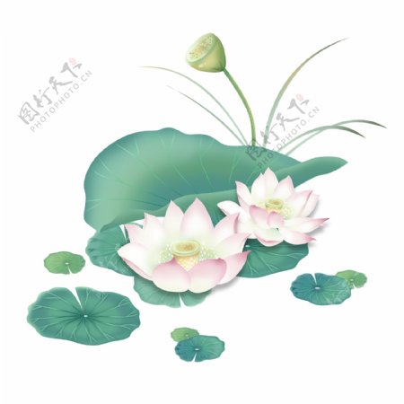 手绘清新水墨插画荷花荷叶植物花卉中国风