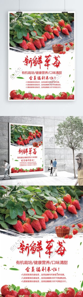 红色创意新鲜草莓海报模板