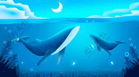 蓝色海洋中的嬉戏的两只鲸鱼卡通背景