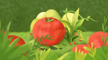 夏日清凉西班牙番茄节插画背景手绘设计
