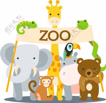 卡通动物zoo