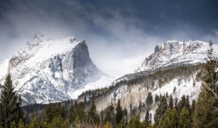 高山山峰雪山森林树林