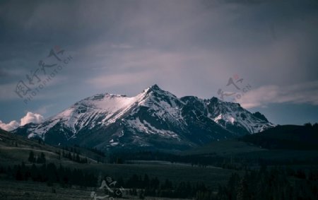 高山山峰雪山森林树林