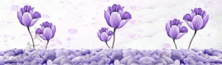 紫花背景