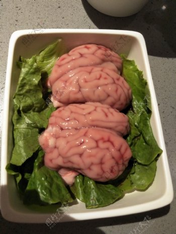 食品猪脑