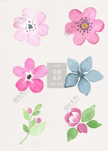 水彩手绘花卉插画素材