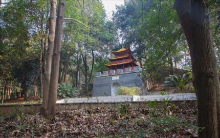 湖南省森林植物园