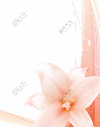 百合