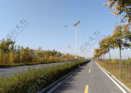 乡村道路风景