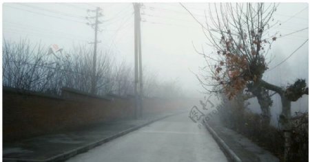 大雾下的小路