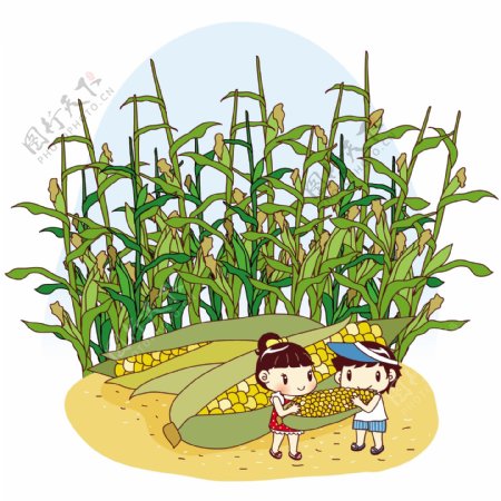 玉米地卡通儿童