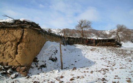 积雪覆盖的牛棚