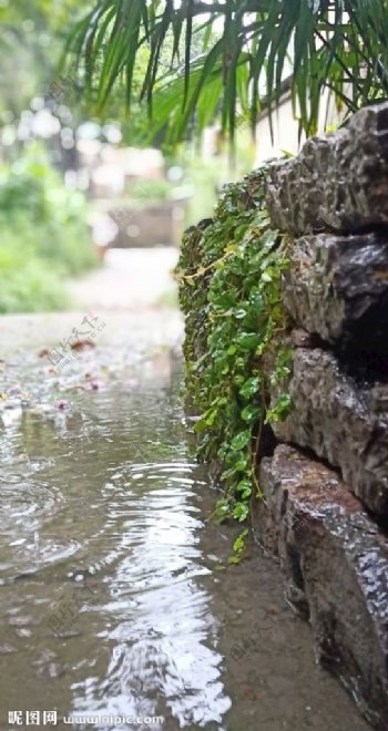 秋雨景观