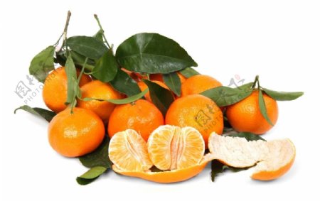 酸甜可口的橘子