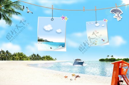 夏日海边椰子树相片蓝色展板背景