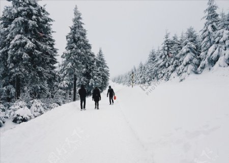行走在大雪中的森林