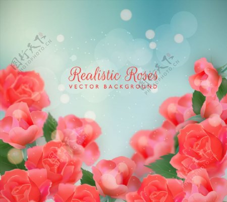美丽红色玫瑰花丛设计