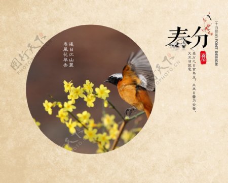 清新写实黄褐色小鸟春分节日元素