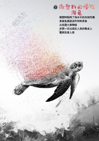 微塑料的侵蚀海龟海报