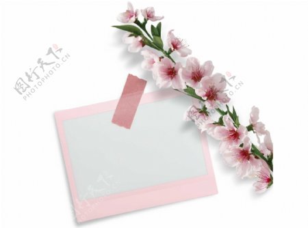 粉色花朵边框装饰png元素