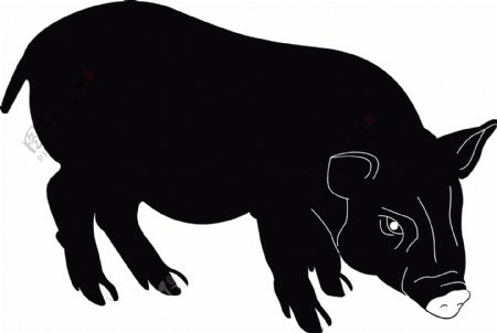 2019年猪年动物简笔画手绘简约可商用元素