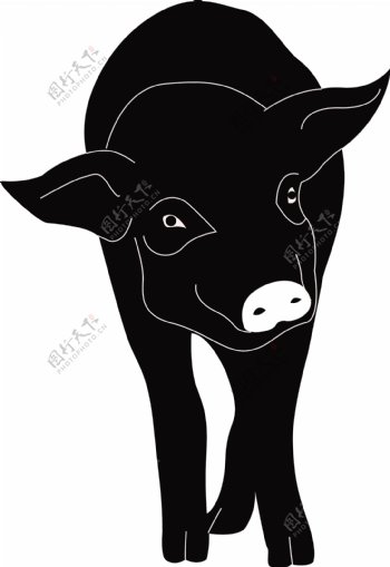 猪年动物简笔画手绘简约