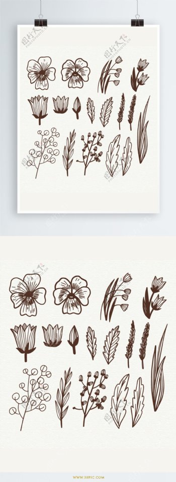 手绘素描风格花卉元素