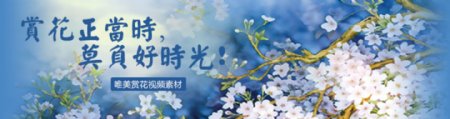 花卉春天蓝色清新商业海报设计