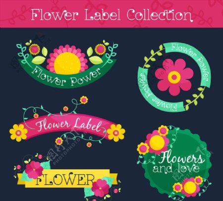 5款彩色花卉标签矢量素材