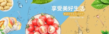 PC端蔬菜banner