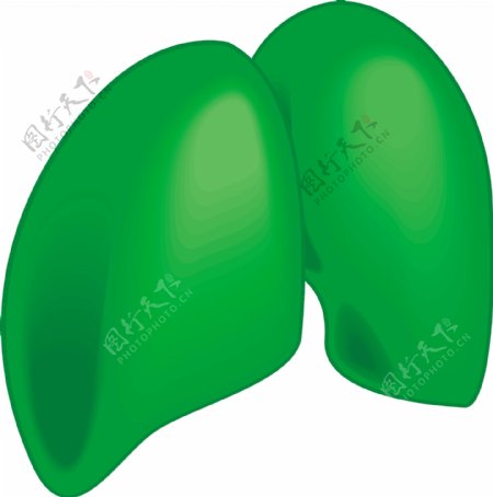 绿色肺