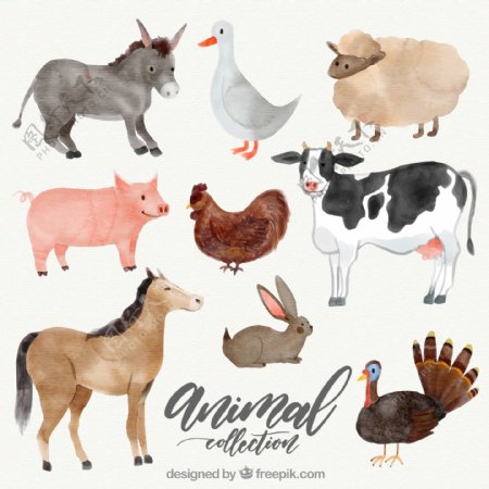 9款水彩绘农场动物矢量素材
