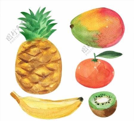 5款水彩绘水果矢量素材